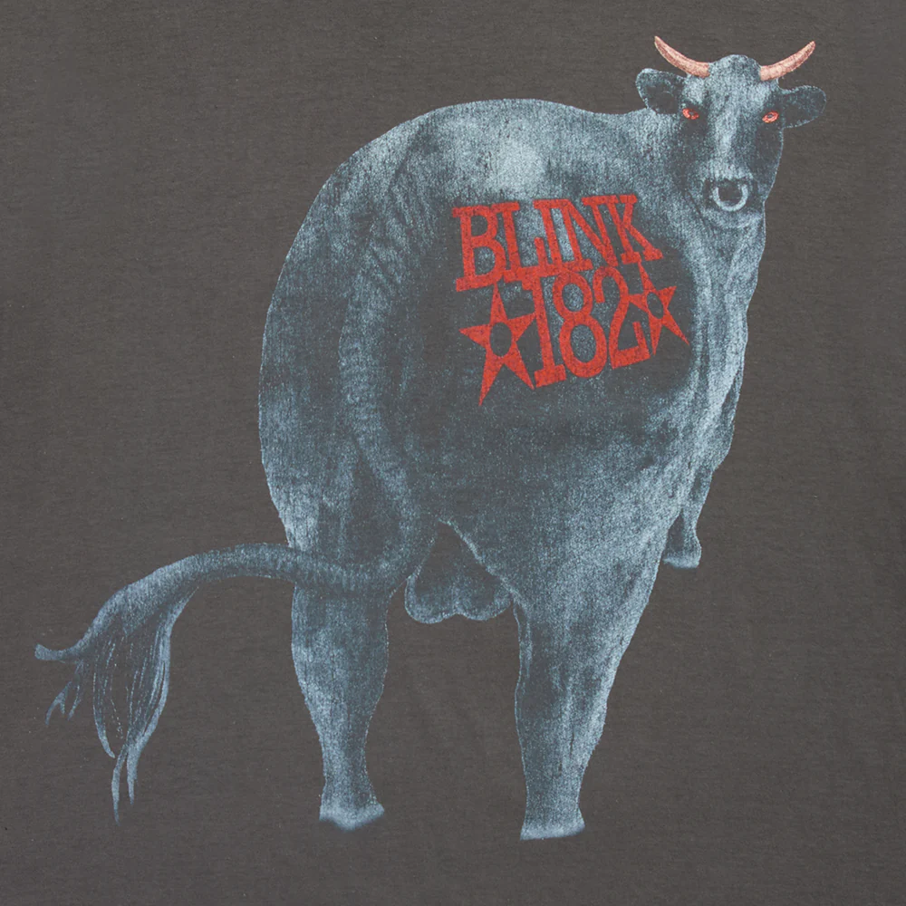 Dude Ranch T-Shirt - Image 3
